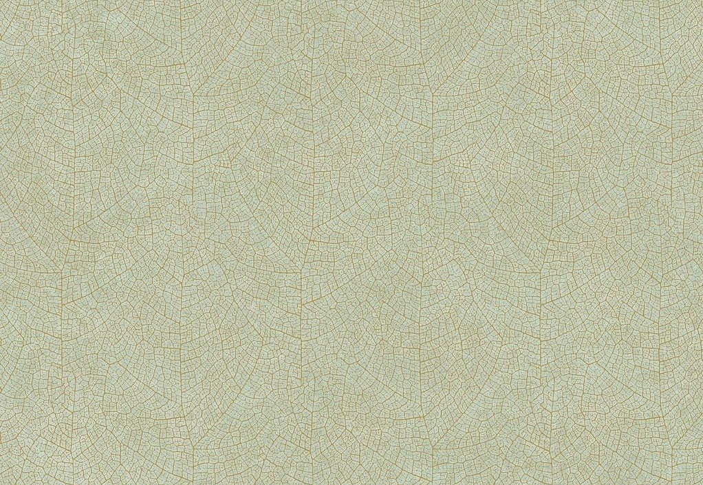 Обои Casadeco Woods WOOD26217010