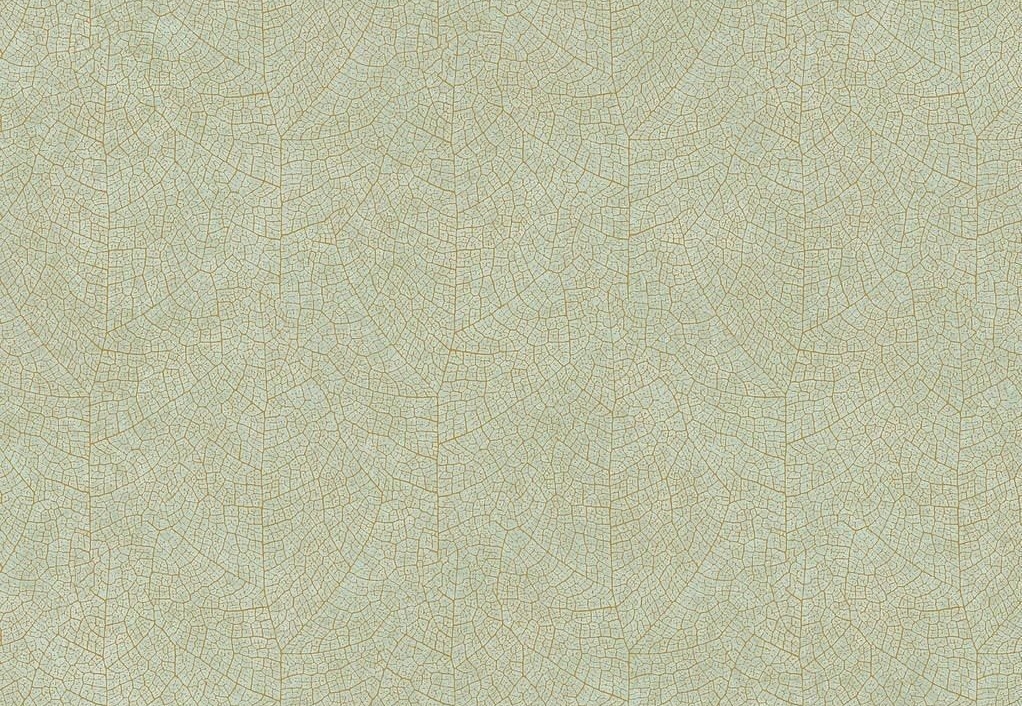 Обои Casadeco Woods WOOD26217010