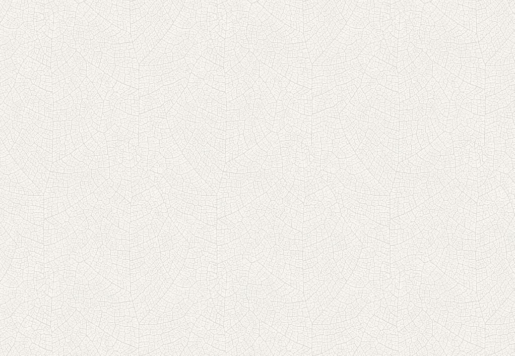 Обои Casadeco Woods WOOD26210113
