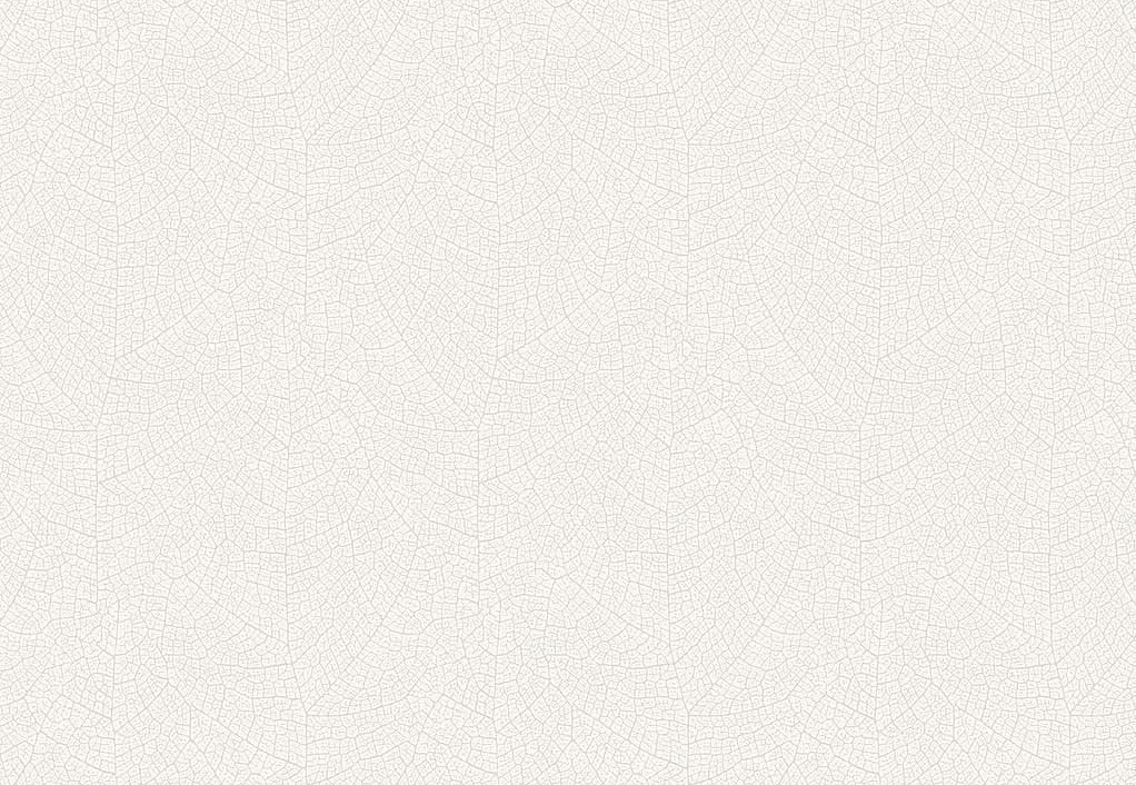 Обои Casadeco Woods WOOD26210113