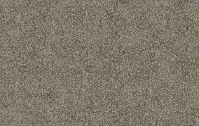Французские обои Casadeco, коллекция Woods, артикул WOOD26219128