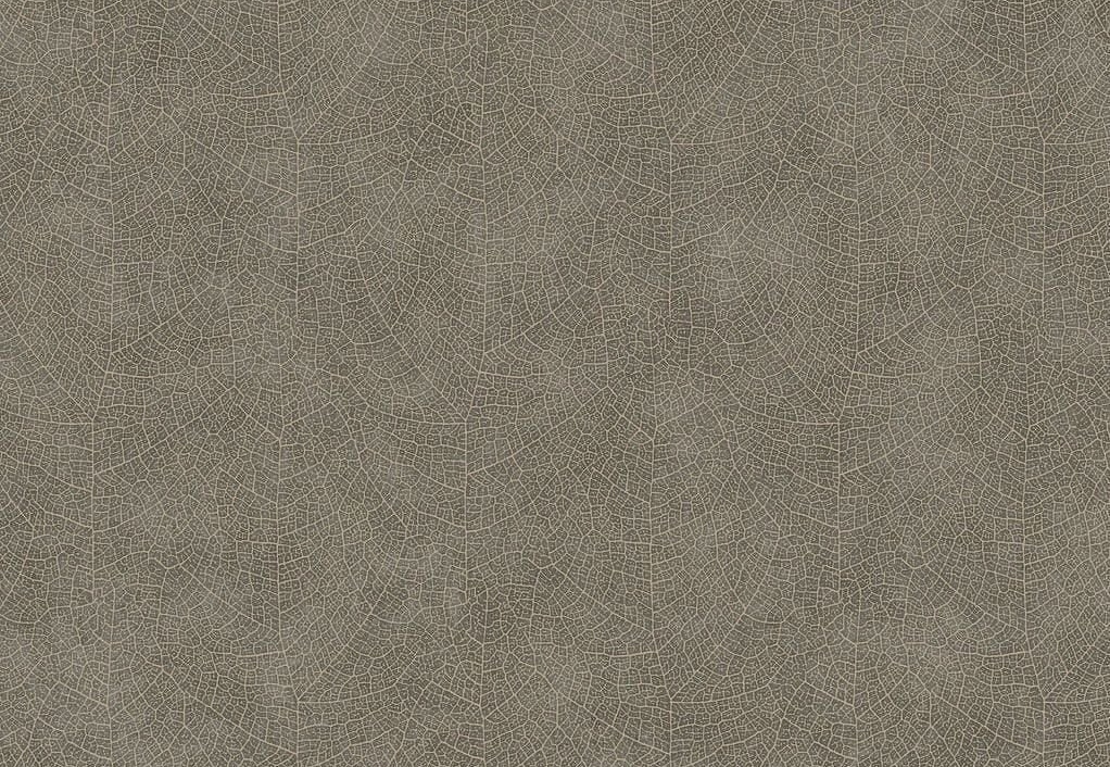 Обои Casadeco Woods WOOD26219128