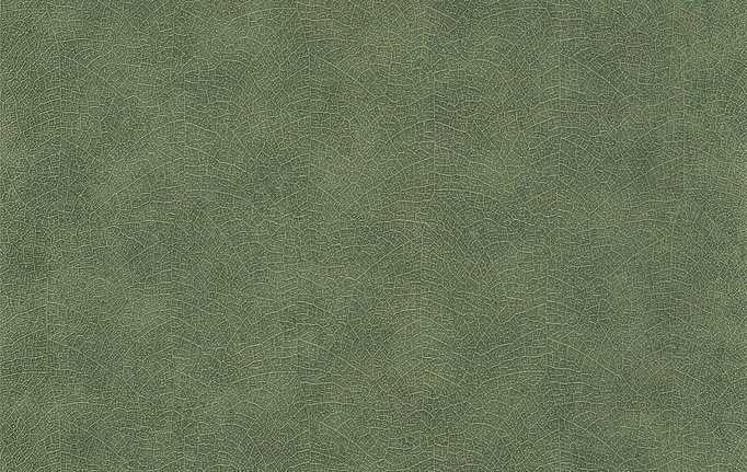 Французские обои Casadeco, коллекция Woods, артикул WOOD26217505