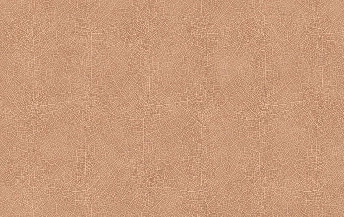 Французские обои Casadeco, коллекция Woods, артикул WOOD26213525