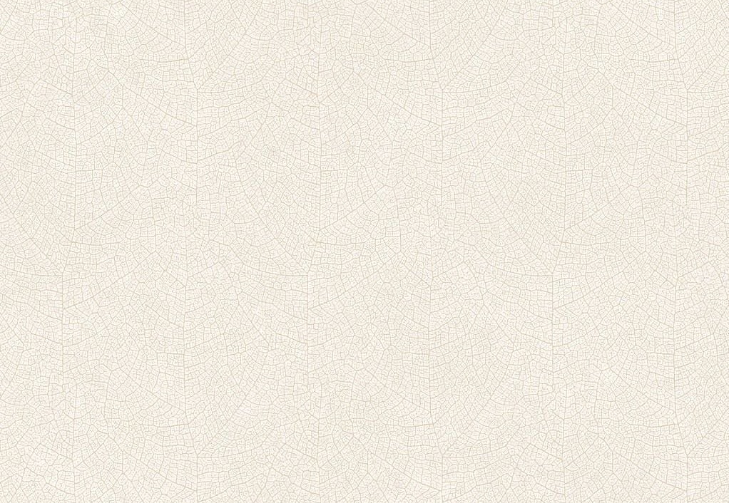 Обои Casadeco Woods WOOD26211119