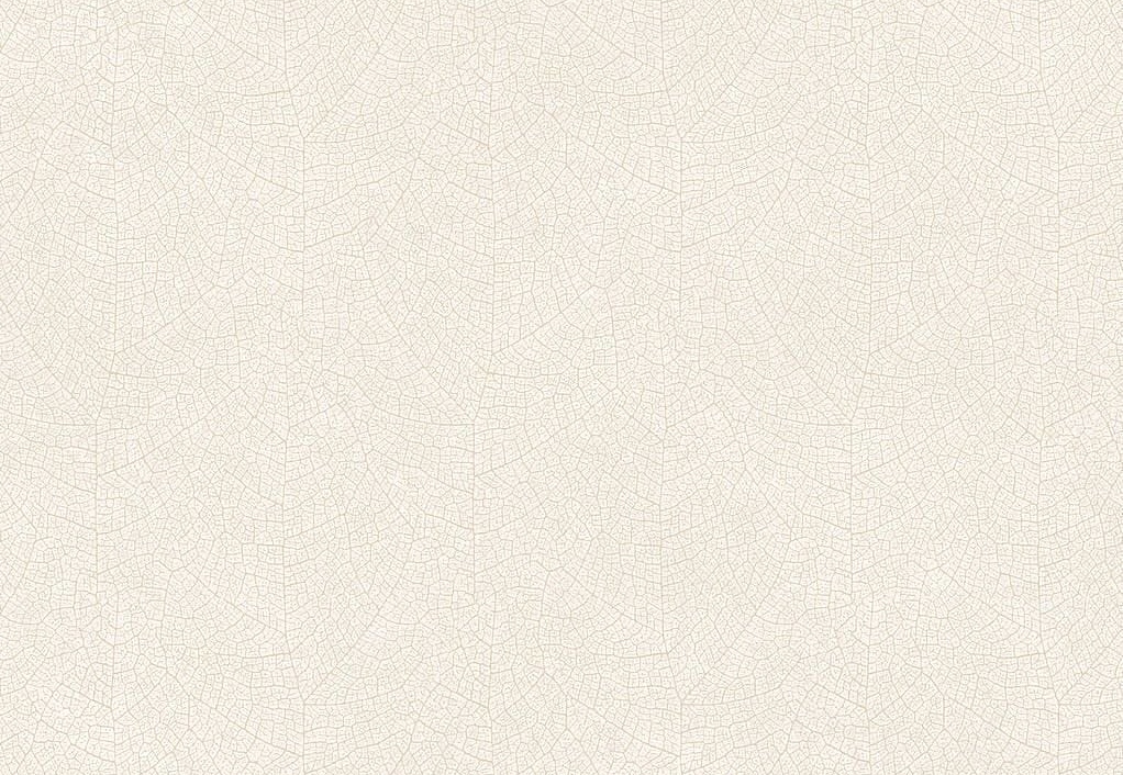 Обои Casadeco Woods WOOD26211119