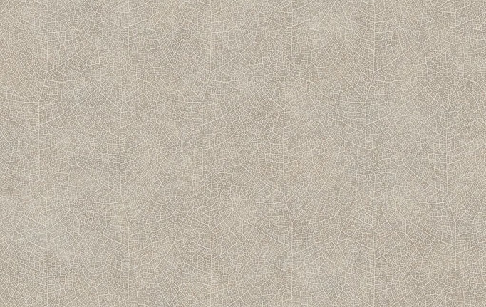 Французские обои Casadeco, коллекция Woods, артикул WOOD26211204