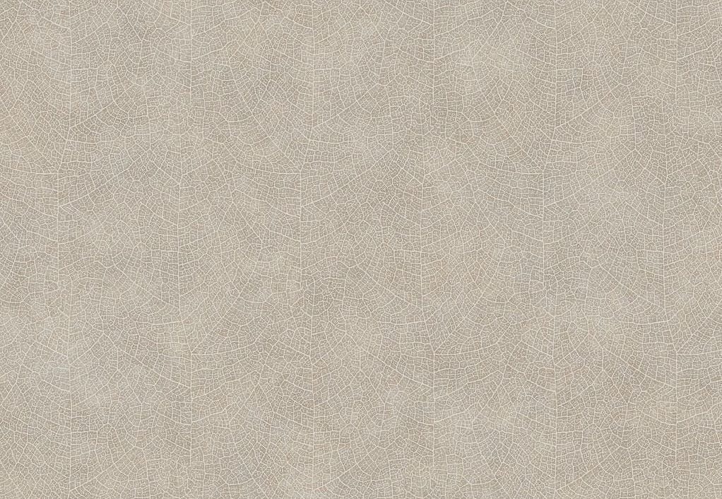 Обои Casadeco Woods WOOD26211204