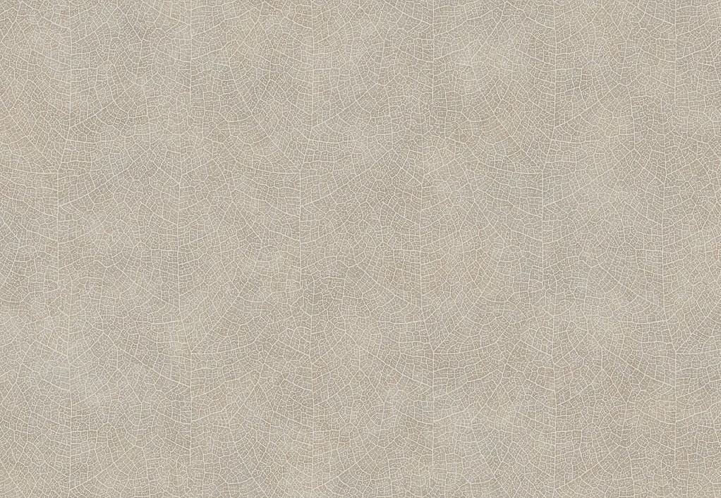 Обои Casadeco Woods WOOD26211204