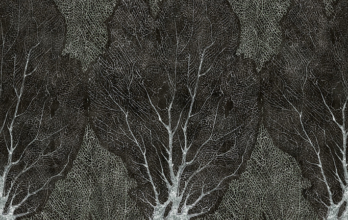 Российские обои Factura, коллекция Collection 2021, артикул FORESTA/8