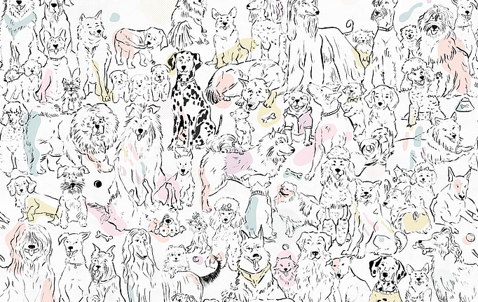 Российские обои Factura, коллекция Kids, артикул DOGGYLAND/1