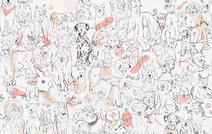 Российские обои Factura, коллекция Kids, артикул DOGGYLAND/4