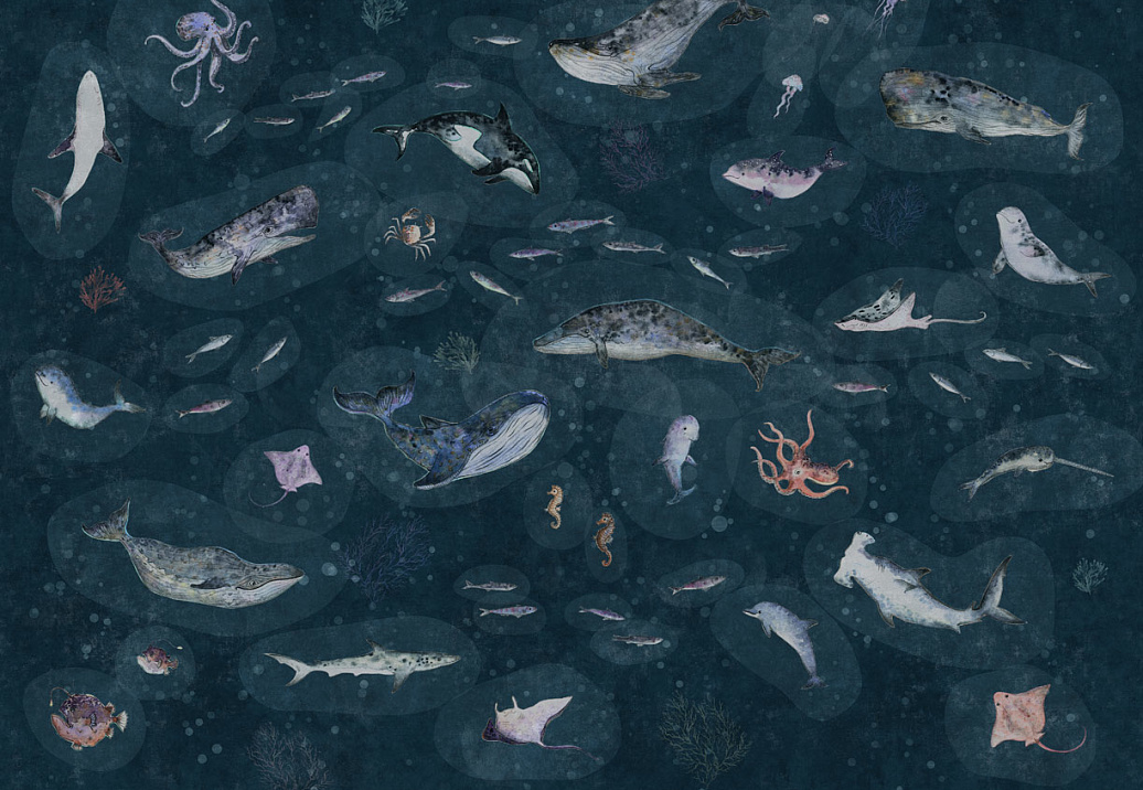 Обои Factura Kids MARINE LIFE/3