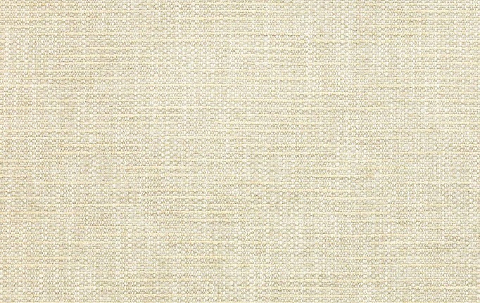 Английская ткань Colefax and Fowler, коллекция Albeck, артикул F4684/09