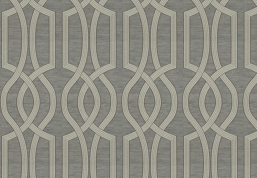 Ткань Fabricut Luxe Nuances Granite Moon NetWorth/Charcoal