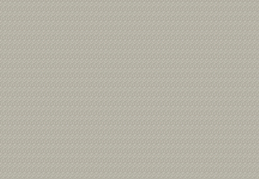 Ткань Fabricut Luxe Nuances Granite Moon Rich&Famous/LinenSheen