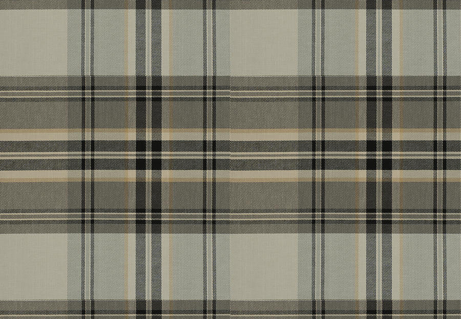 Ткань Fabricut Chromatics Vol.XXVI Quarry Censorship/Peppercorn