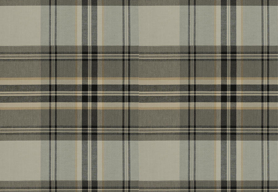 Ткань Fabricut Chromatics Vol.XXVI Quarry Censorship/Peppercorn