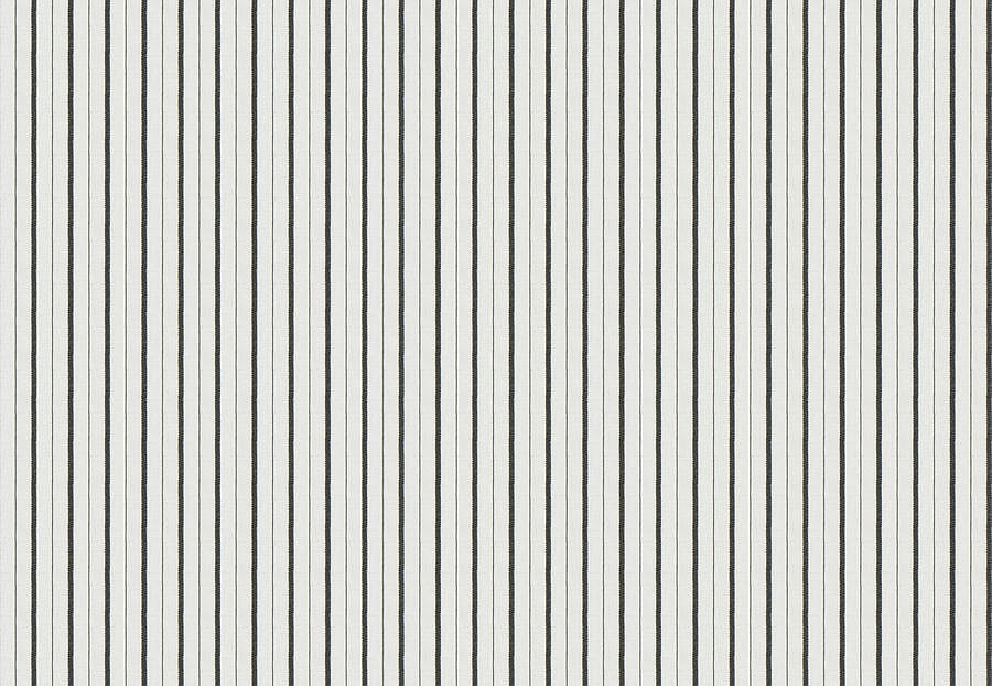 Ткань Fabricut Chromatics Vol.XXVI Quarry MuchaTicking/Domino