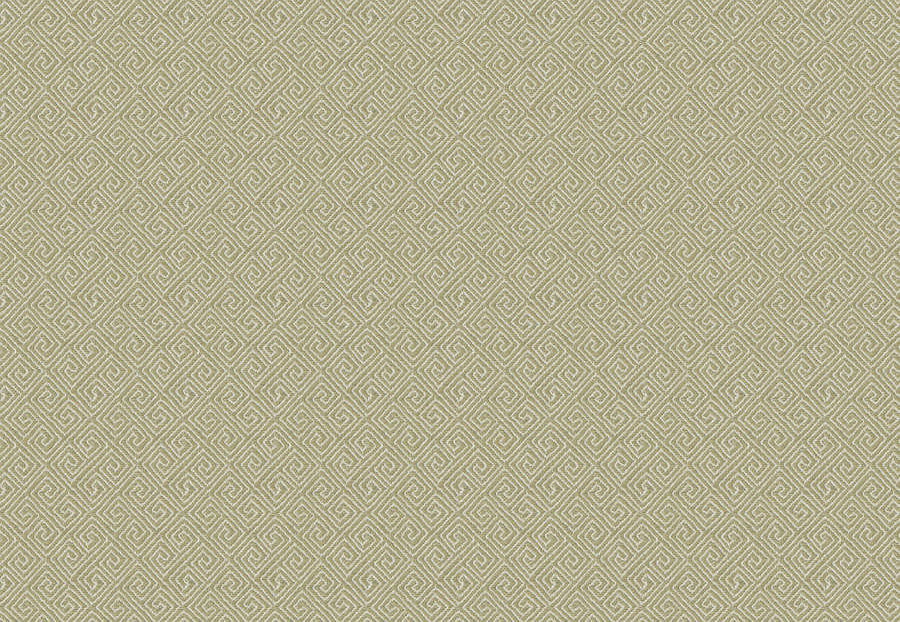 Ткань Fabricut Chromatics Vol.XXVI Succulent BowdoinKey/Pear