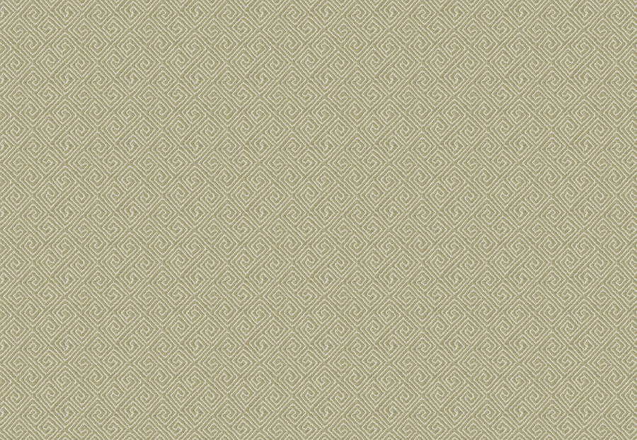 Ткань Fabricut Chromatics Vol.XXVI Succulent BowdoinKey/Pear
