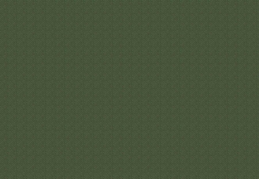 Ткань Fabricut Chromatics Vol.XXVI Succulent DuctileDiamond/Grass
