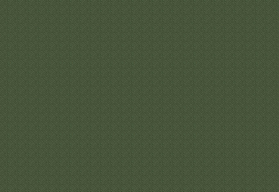 Ткань Fabricut Chromatics Vol.XXVI Succulent DuctileDiamond/Grass