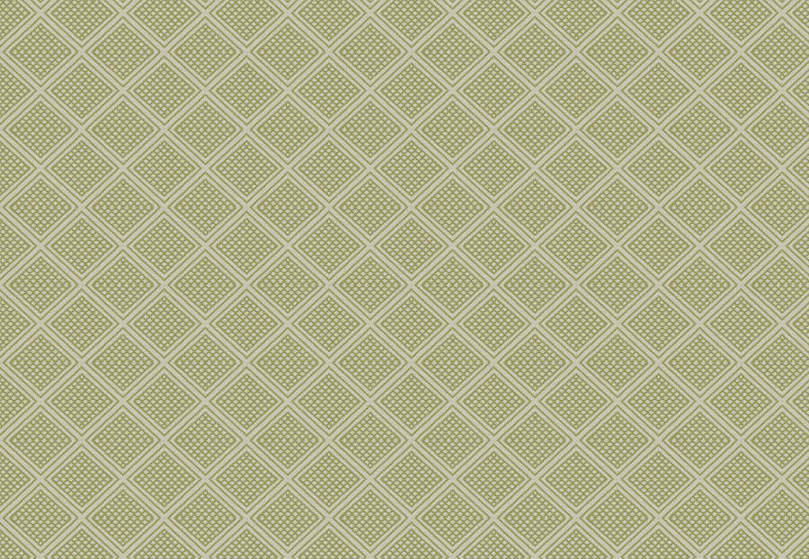 Ткань Fabricut Chromatics Vol.XXVI Succulent GorvyDiamond/Lime