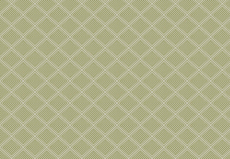 Ткань Fabricut Chromatics Vol.XXVI Succulent GorvyDiamond/Lime