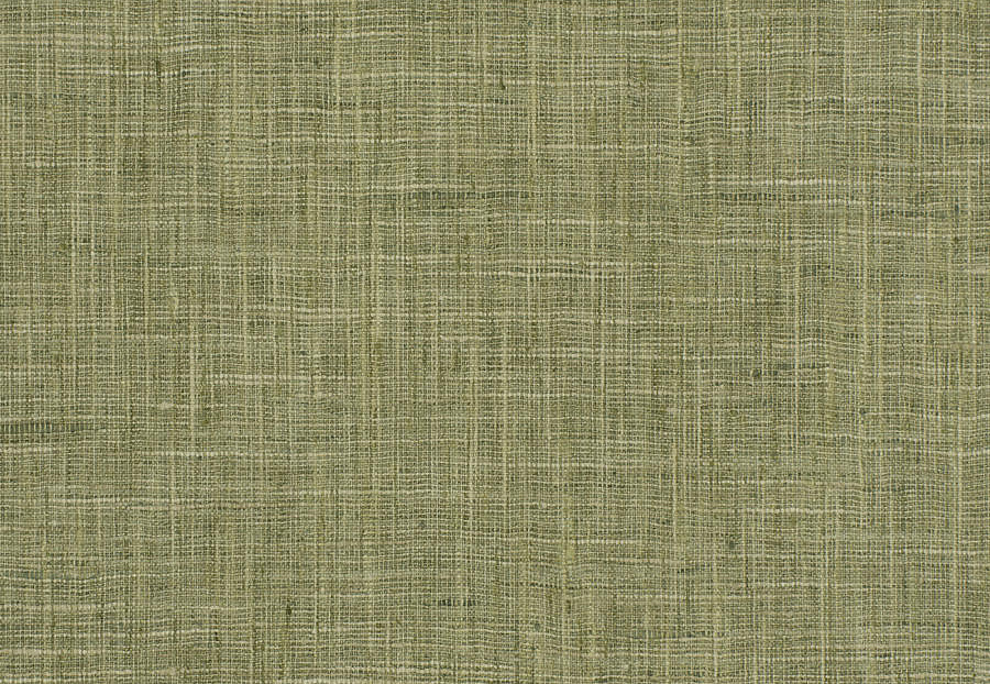 Ткань Fabricut Chromatics Vol.XXVI Succulent Malleable/Lemongrass