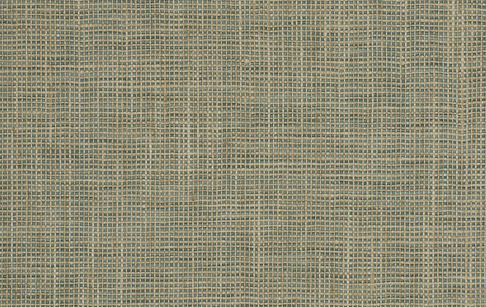 Американская ткань Fabricut, коллекция Chromatics Vol.XXVI Succulent, артикул Sree/Brook
