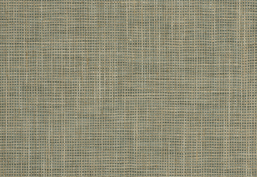 Ткань Fabricut Chromatics Vol.XXVI Succulent Sree/Brook