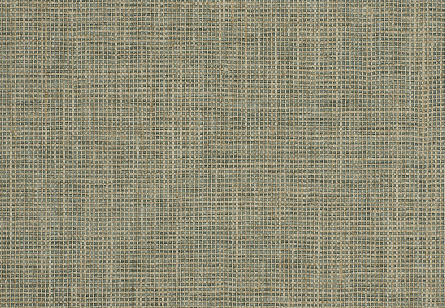 Ткань Fabricut Chromatics Vol.XXVI Succulent Sree/Brook