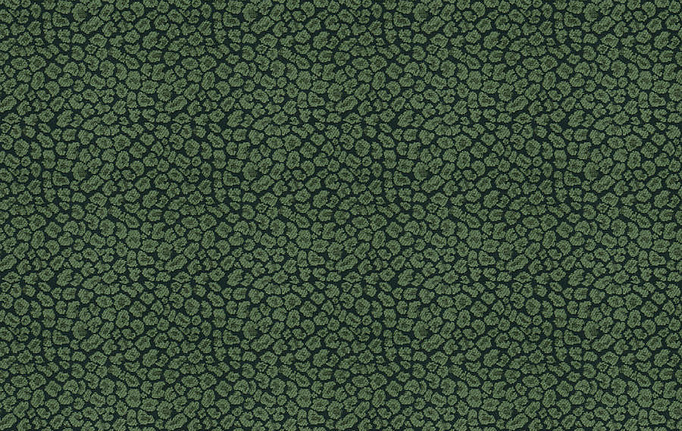 Американская ткань Fabricut, коллекция Chromatics Vol.XXVI Succulent, артикул Weisbecker/Malachite