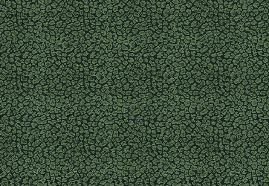 Ткань Fabricut Chromatics Vol.XXVI Succulent Weisbecker/Malachite