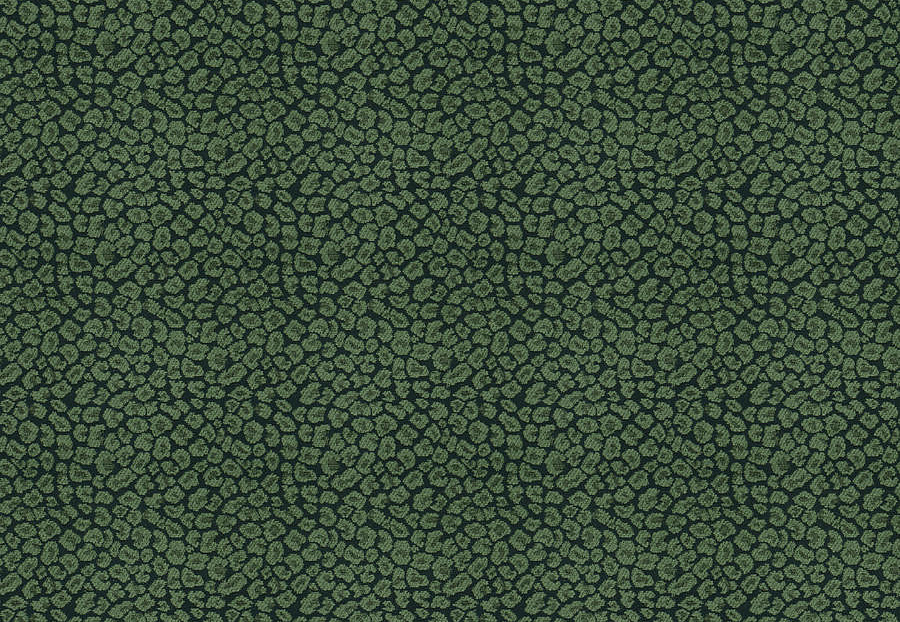 Ткань Fabricut Chromatics Vol.XXVI Succulent Weisbecker/Malachite