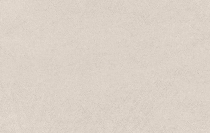 Английская ткань Zinc, коллекция Elliott, артикул Z594/02