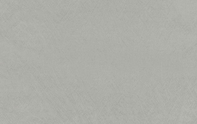 Английская ткань Zinc, коллекция Elliott, артикул Z594/03