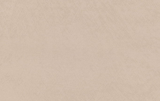 Английская ткань Zinc, коллекция Elliott, артикул Z594/04