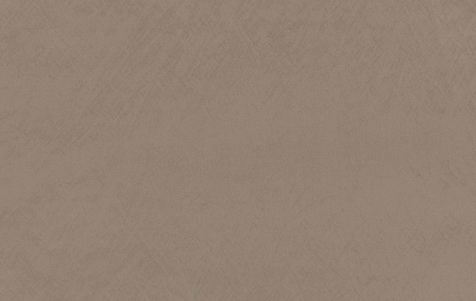 Английская ткань Zinc, коллекция Elliott, артикул Z594/06