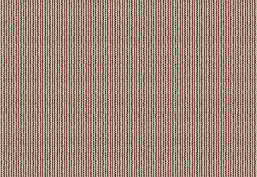 Ткань Fabricut Clean & Classic Indoor/Outdoor Checks & Stripes HikingTicking/Ruby