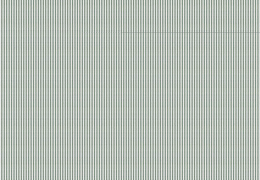 Ткань Fabricut Clean & Classic Indoor/Outdoor Checks & Stripes HikingTicking/Pine
