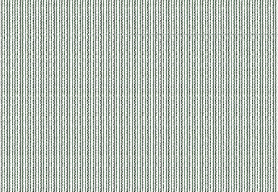 Ткань Fabricut Clean & Classic Indoor/Outdoor Checks & Stripes HikingTicking/Pine