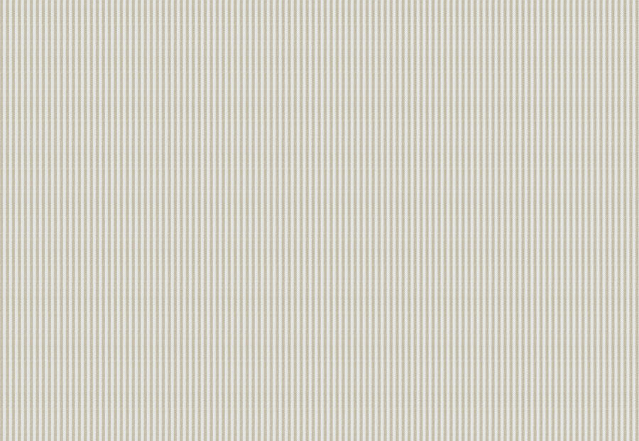 Ткань Fabricut Clean & Classic Indoor/Outdoor Checks & Stripes HikingTicking/Linen