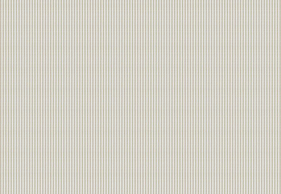 Ткань Fabricut Clean & Classic Indoor/Outdoor Checks & Stripes HikingTicking/Linen