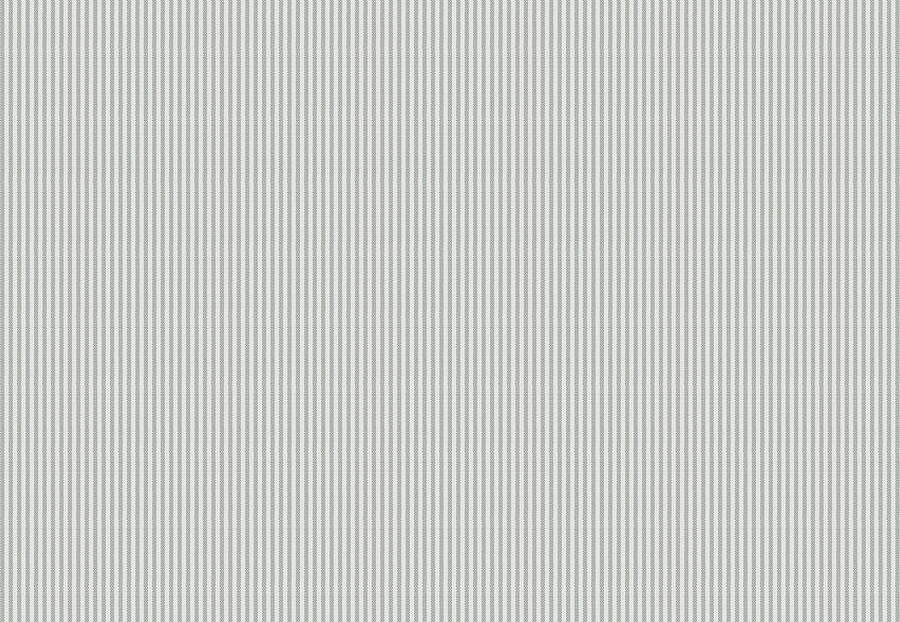 Ткань Fabricut Clean & Classic Indoor/Outdoor Checks & Stripes HikingTicking/Grey