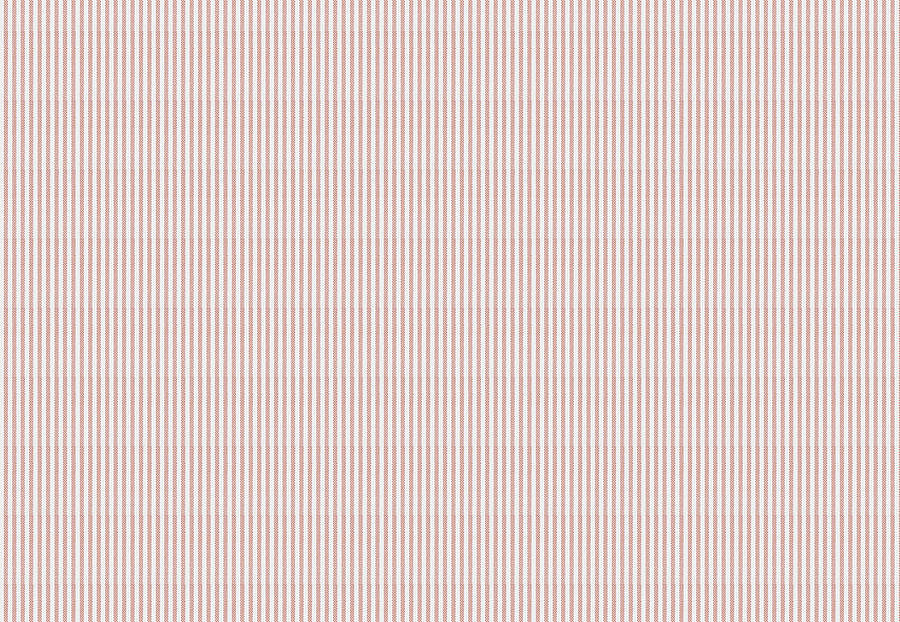 Ткань Fabricut Clean & Classic Indoor/Outdoor Checks & Stripes HikingTicking/Coral