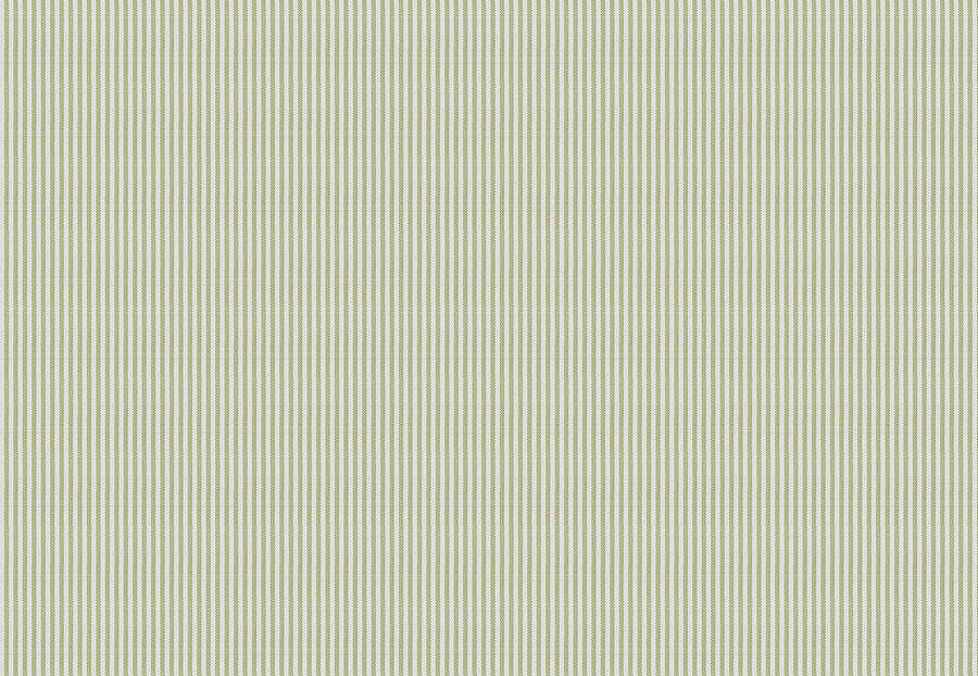 Ткань Fabricut Clean & Classic Indoor/Outdoor Checks & Stripes HikingTicking/Celery