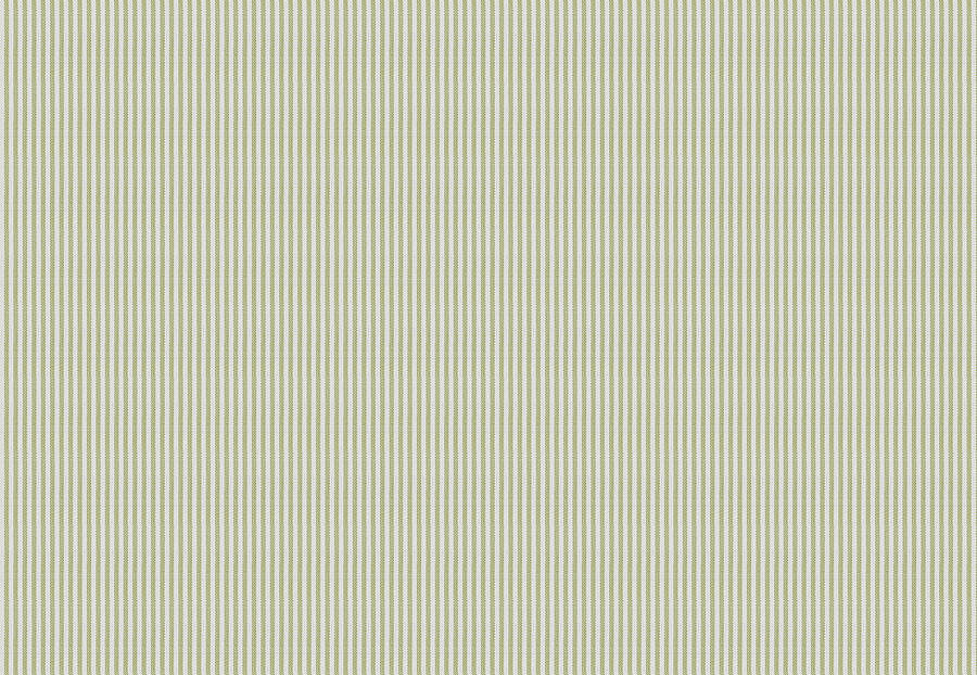 Ткань Fabricut Clean & Classic Indoor/Outdoor Checks & Stripes HikingTicking/Celery