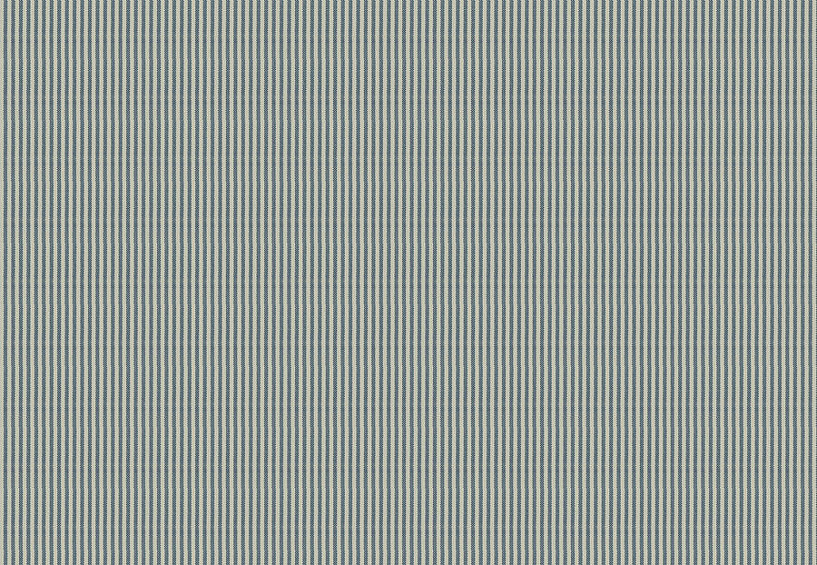 Ткань Fabricut Clean & Classic Indoor/Outdoor Checks & Stripes HikingTicking/Blue
